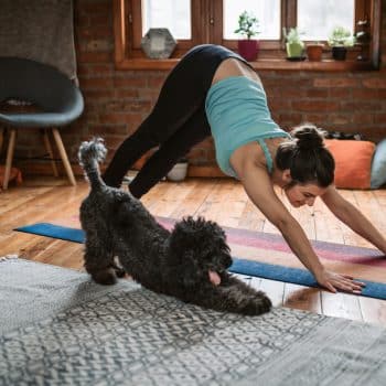 Young woman practicing downward facing dog pose playing with her pet in the living room