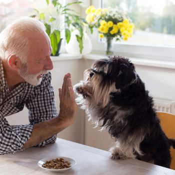 Senior man with dog