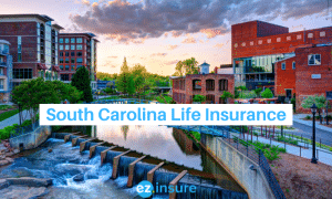 south carolina life insurance text overlaying image or greenville
